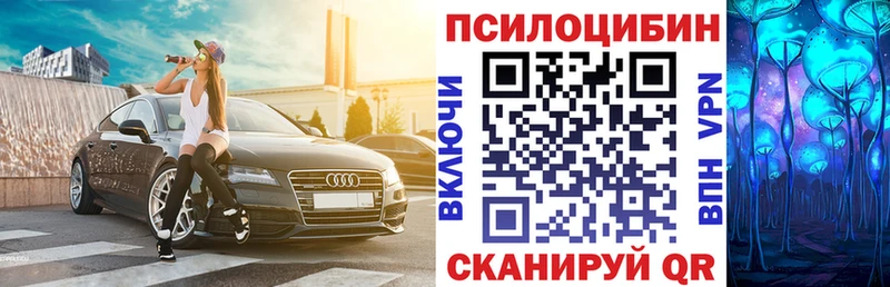 Галлюциногенные грибы Psilocybe  сайты даркнета какой сайт  Муравленко 