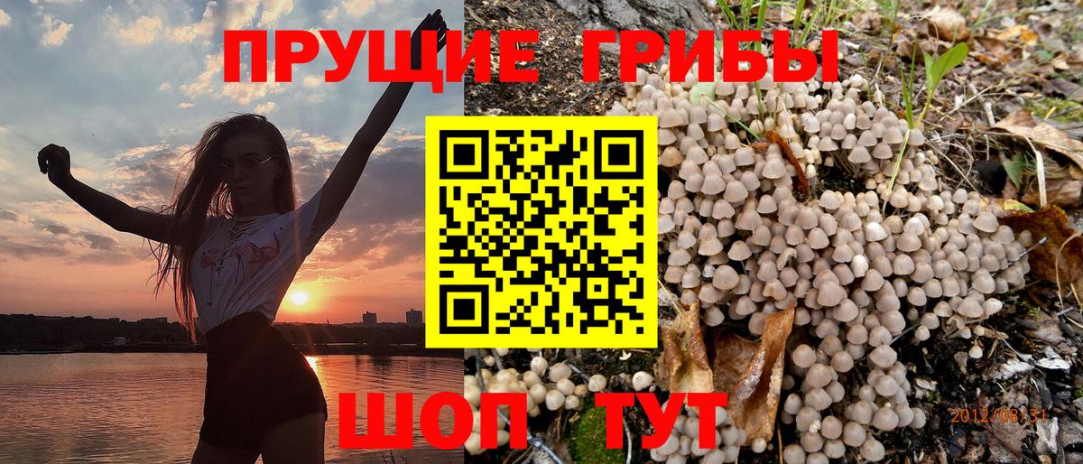 Галлюциногенные грибы Psilocybe  где купить наркоту  Муравленко  Вход с VPN 